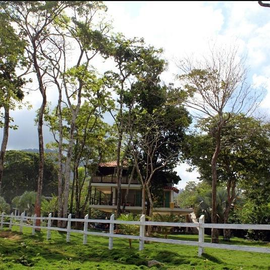 Cabana Pura Vida Bed and Breakfast Acandí Exteriör bild