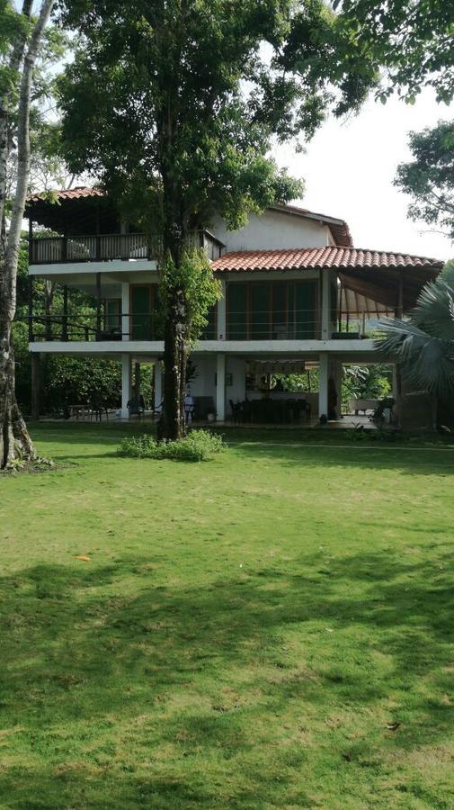 Cabana Pura Vida Bed and Breakfast Acandí Exteriör bild